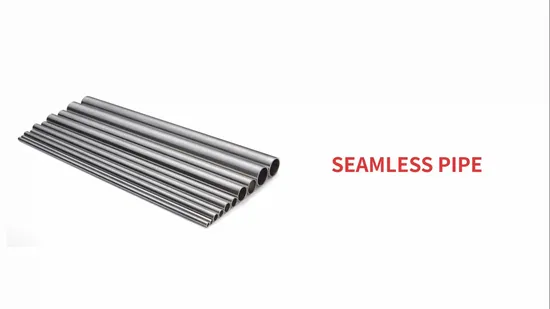 High Quality 201 304 304L 316 316L 321 309 310 Polished #600 Surface Stainless Steel Pipe/Tubes